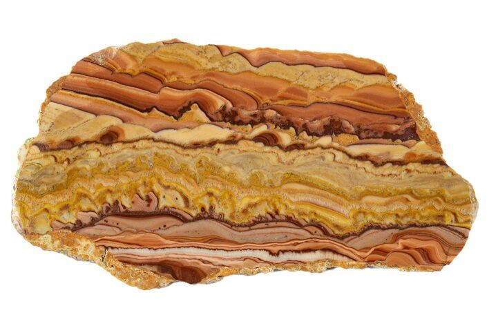 Polished Slab Of Rolling Hills Dolomite - Mexico #324336